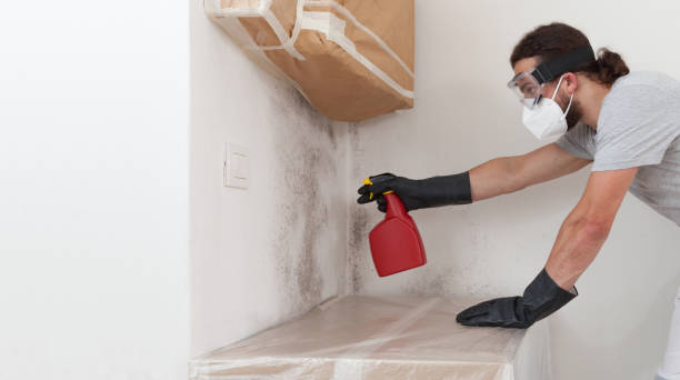 Professional Crawl Space Mold Removal technician working in Burnsville, NC