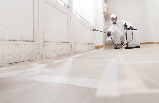 24/7 Emergency Crawl Space Mold Removal experts in Burnsville, NC