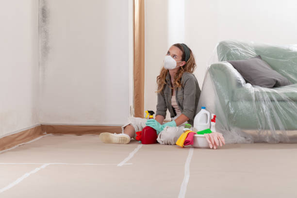 Reliable Mold Remediation contractor in Burnsville, NC by Cheap Mold Removal