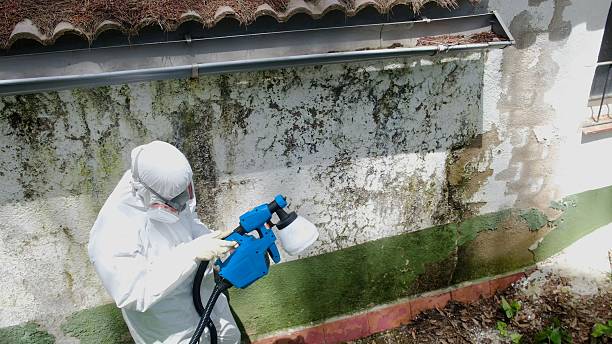 Trusted Crawl Space Mold Removal service in Burnsville, NC - Cheap Mold Removal